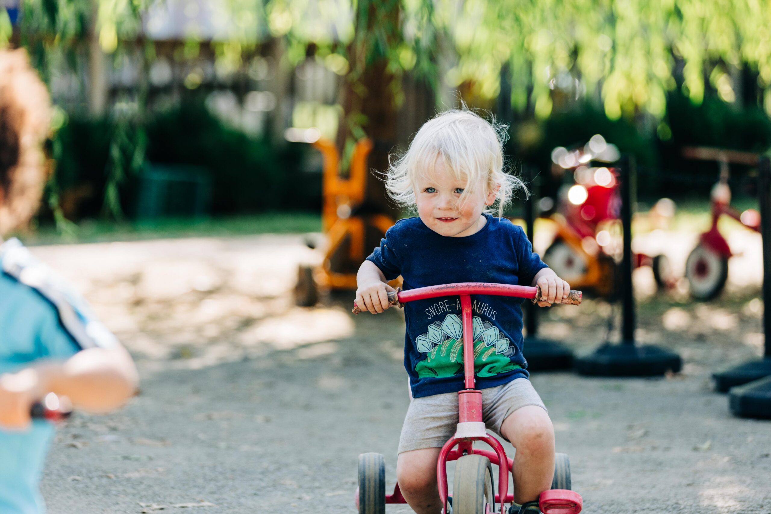 Young toddler riding a tricycle